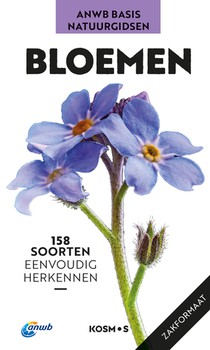 Bloemen voorzijde