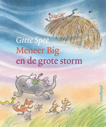 Meneer Big en de grote storm voorzijde