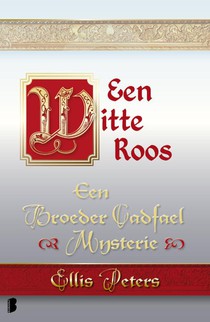 Een witte roos voorzijde