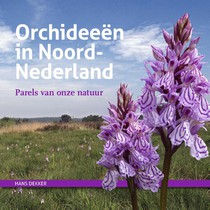 Orchideeën in Noord-Nederland voorzijde