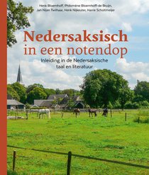 Nedersaksisch in een notendop