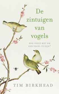 De zintuigen van vogels voorzijde