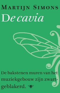 De cavia voorzijde