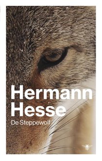 Steppewolf voorzijde