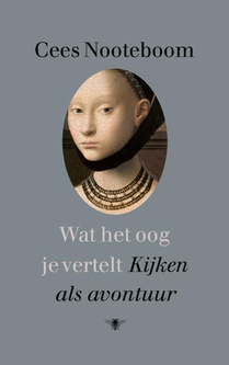 Wat het oog je vertelt voorzijde