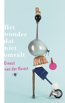 Het wonder dat niet omvalt voorzijde