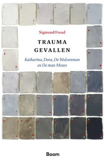 Traumagevallen voorzijde