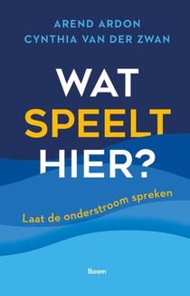 Wat speelt hier? voorzijde