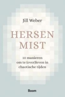 Hersenmist