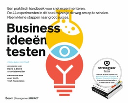 Businessideeën testen