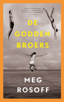 De Godden broers