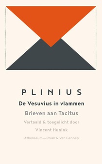 De vesuvius in vlammen