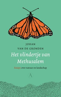 Het vlindertje van Methusalem voorzijde