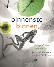 Binnenstebinnen