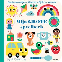 Mijn grote speelboek