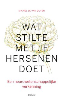 Wat stilte met je hersenen doet