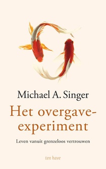 Het overgave-experiment voorzijde