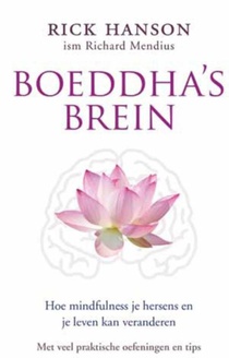Boeddha's brein voorzijde