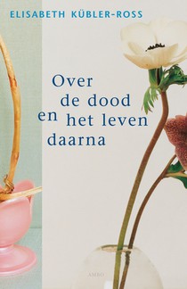 Over de dood en het leven daarna voorzijde