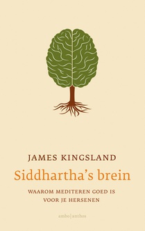 Siddhartha's brein voorzijde