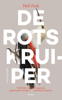 De rotskruiper