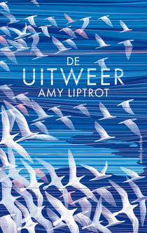 De uitweer