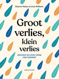 Groot verlies, klein verlies voorzijde