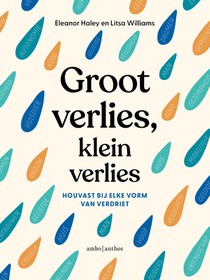 Groot verlies, klein verlies voorzijde