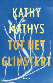 Tot het glinstert voorzijde