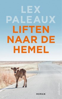 Liften naar de hemel voorzijde