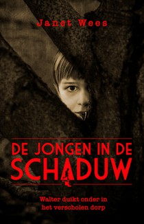 De jongen in de schaduw