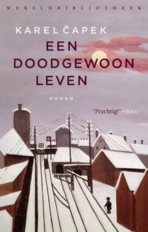 Een doodgewoon leven