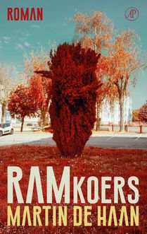 Ramkoers