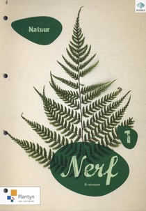 Nerf
