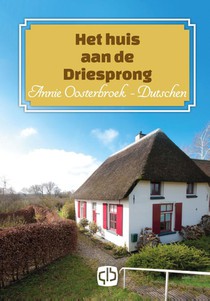 Het huis aan de driesprong voorzijde