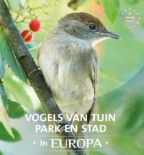 Vogels van tuin, park en stad in Europa voorzijde