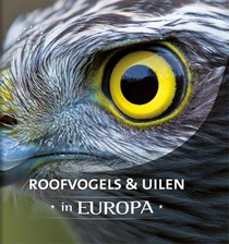 Roofvogels & uilen in Europa voorzijde