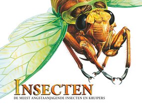 Insecten - Meest angstaanjagende voorzijde