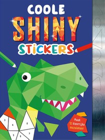 Coole shiny stickers voorzijde