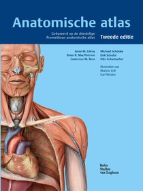 Anatomische atlas voorzijde