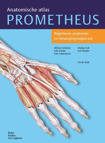 Algemene anatomie en bewegingsapparaat voorzijde