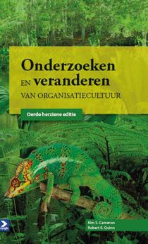 Onderzoeken en veranderen van organisatiecultuur