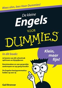 De kleine Engels voor Dummies