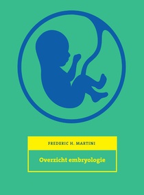 Overzicht embryologie voorzijde