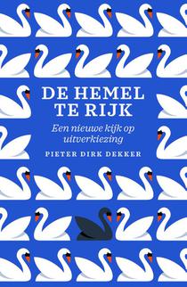 De hemel te rijk