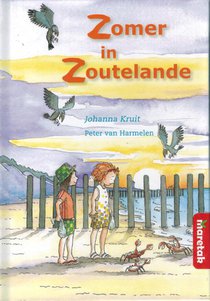 Zomer in Zoutelande voorzijde