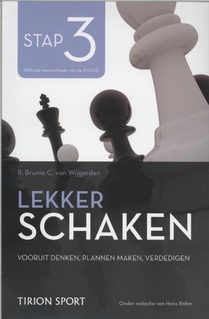 3 vooruitdenken/ plannen maken/ verdedigen