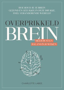 Overprikkeld brein