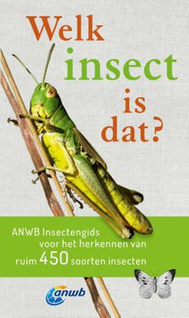 Welk insect is dat? voorzijde