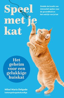 Speel met je kat: het geheim voor een gelukkige huiskat voorzijde